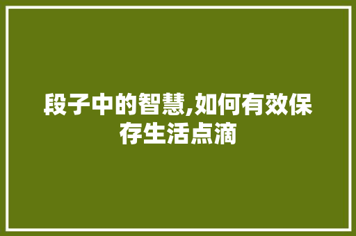 段子中的智慧,如何有效保存生活点滴