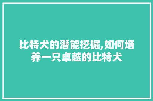 比特犬的潜能挖掘,如何培养一只卓越的比特犬