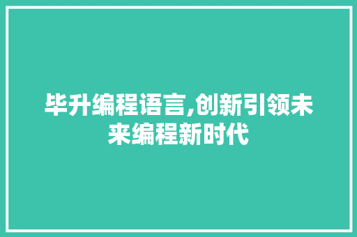 毕升编程语言,创新引领未来编程新时代