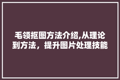 毛领抠图方法介绍,从理论到方法，提升图片处理技能 友链在线