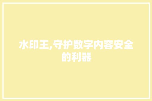 水印王,守护数字内容安全的利器 SEO教程