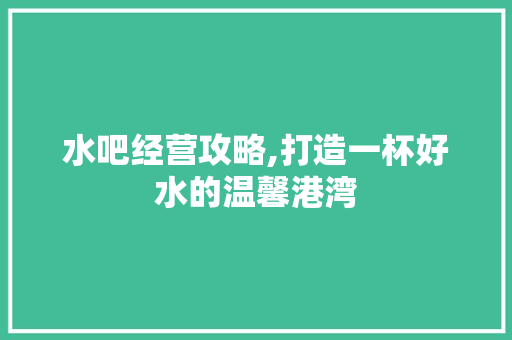水吧经营攻略,打造一杯好水的温馨港湾 建站教程