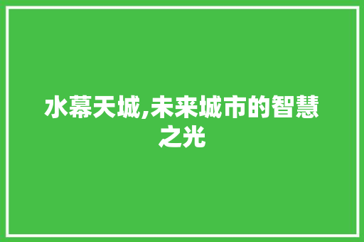 水幕天城,未来城市的智慧之光 建站教程