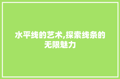 水平线的艺术,探索线条的无限魅力