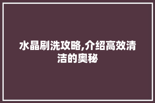 水晶刷洗攻略,介绍高效清洁的奥秘 SEO教程