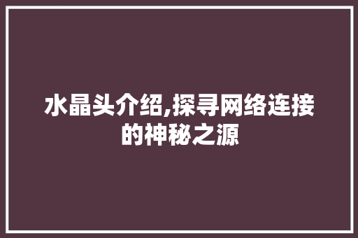 水晶头介绍,探寻网络连接的神秘之源 WordPress教程