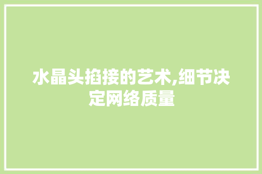 水晶头掐接的艺术,细节决定网络质量