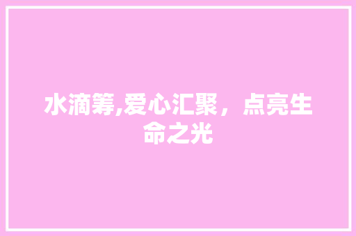 水滴筹,爱心汇聚，点亮生命之光 建站教程