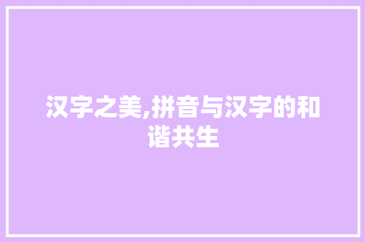 汉字之美,拼音与汉字的和谐共生