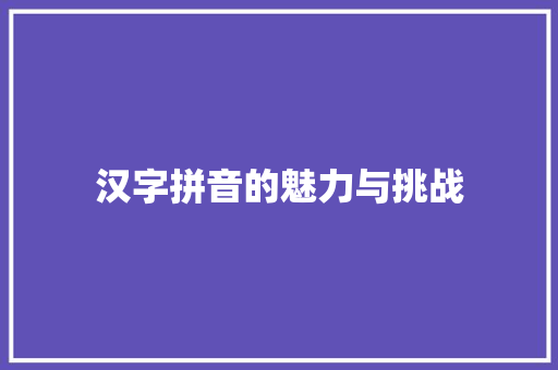 汉字拼音的魅力与挑战