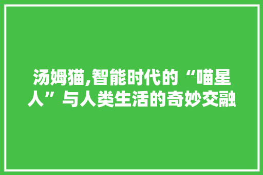 汤姆猫,智能时代的“喵星人”与人类生活的奇妙交融