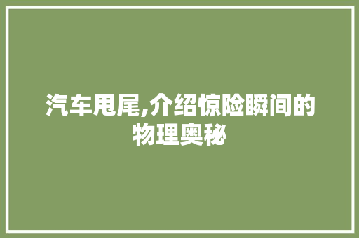 汽车甩尾,介绍惊险瞬间的物理奥秘 建站教程