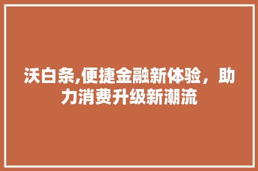 沃白条,便捷金融新体验，助力消费升级新潮流 SEO教程