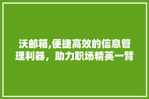 沃邮箱,便捷高效的信息管理利器，助力职场精英一臂之力