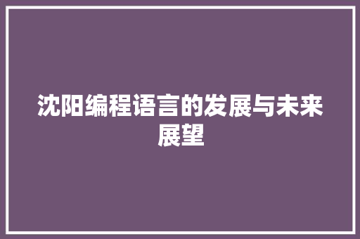 沈阳编程语言的发展与未来展望 SEO教程