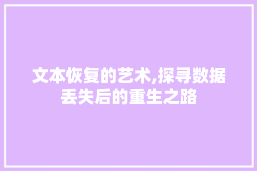 文本恢复的艺术,探寻数据丢失后的重生之路