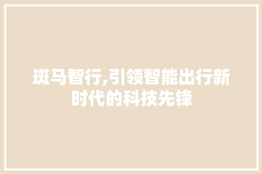 斑马智行,引领智能出行新时代的科技先锋