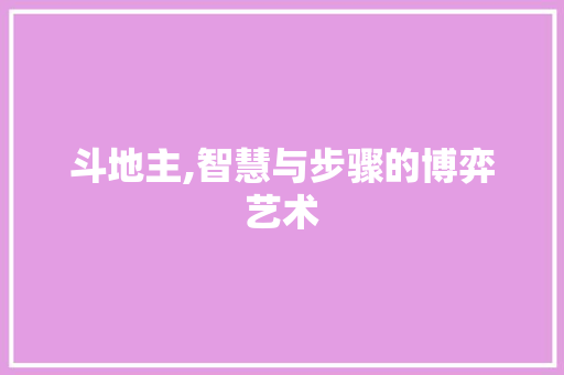 斗地主,智慧与步骤的博弈艺术
