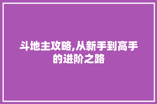 斗地主攻略,从新手到高手的进阶之路