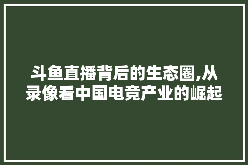 斗鱼直播背后的生态圈,从录像看中国电竞产业的崛起