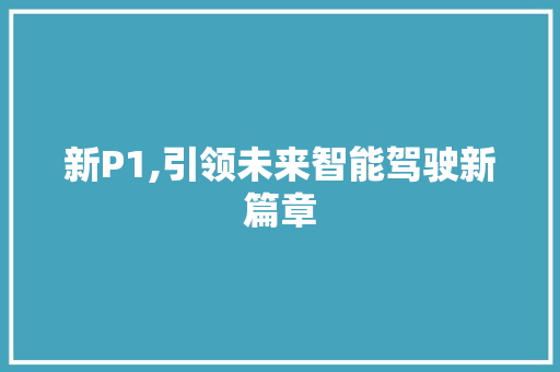 新P1,引领未来智能驾驶新篇章