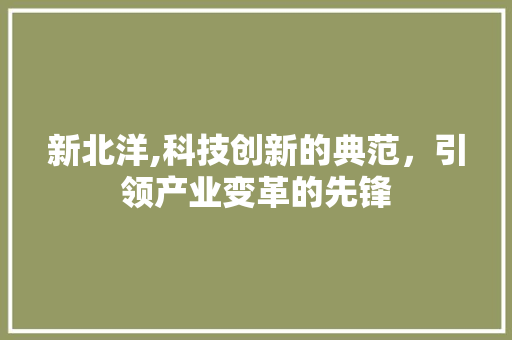 新北洋,科技创新的典范，引领产业变革的先锋