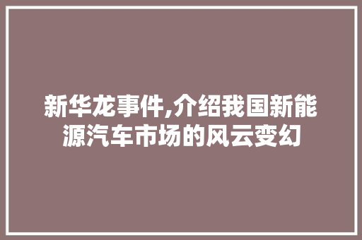 新华龙事件,介绍我国新能源汽车市场的风云变幻