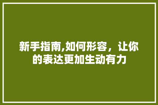 新手指南,如何形容，让你的表达更加生动有力