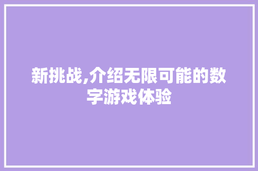 新挑战,介绍无限可能的数字游戏体验