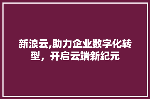 新浪云,助力企业数字化转型，开启云端新纪元 Web前端