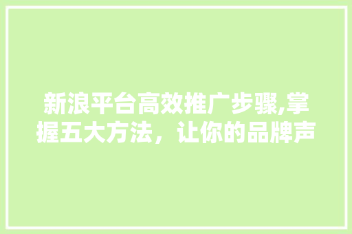 新浪平台高效推广步骤,掌握五大方法，让你的品牌声名远播！ 友链在线