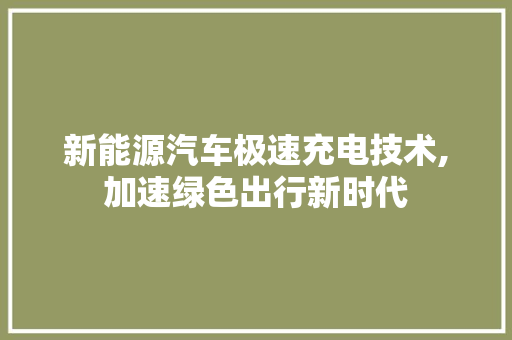 新能源汽车极速充电技术,加速绿色出行新时代 Web前端