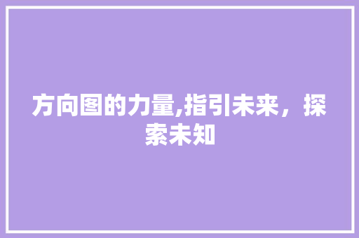 方向图的力量,指引未来，探索未知 建站教程
