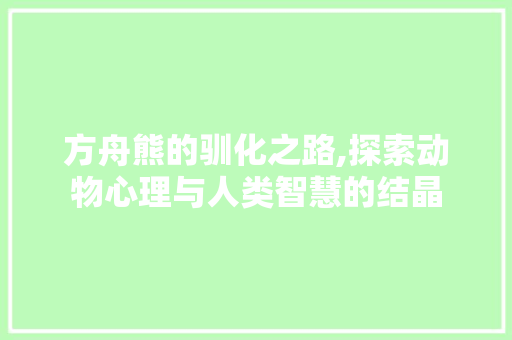 方舟熊的驯化之路,探索动物心理与人类智慧的结晶