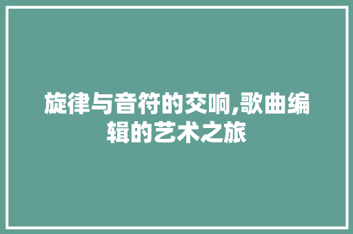 旋律与音符的交响,歌曲编辑的艺术之旅