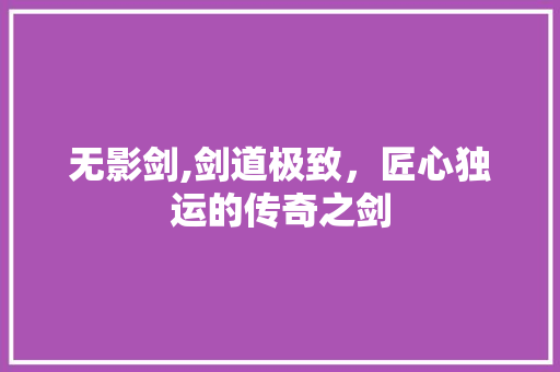 无影剑,剑道极致，匠心独运的传奇之剑
