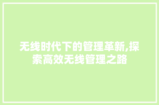 无线时代下的管理革新,探索高效无线管理之路