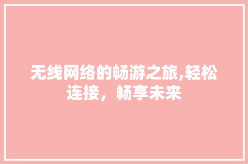 无线网络的畅游之旅,轻松连接，畅享未来