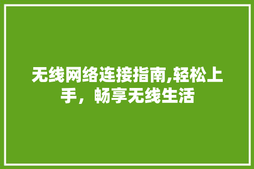 无线网络连接指南,轻松上手，畅享无线生活