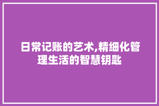 日常记账的艺术,精细化管理生活的智慧钥匙 友链在线