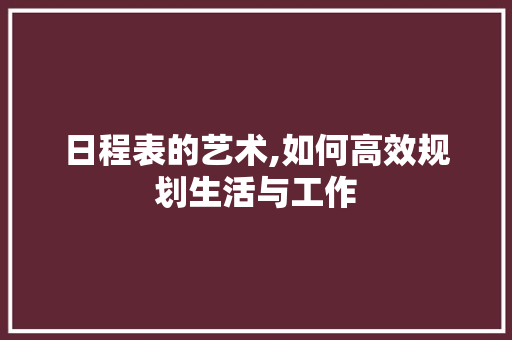 日程表的艺术,如何高效规划生活与工作