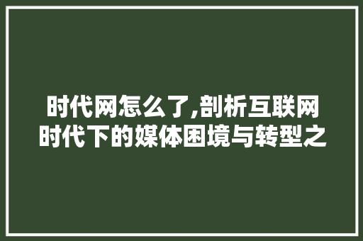 时代网怎么了,剖析互联网时代下的媒体困境与转型之路