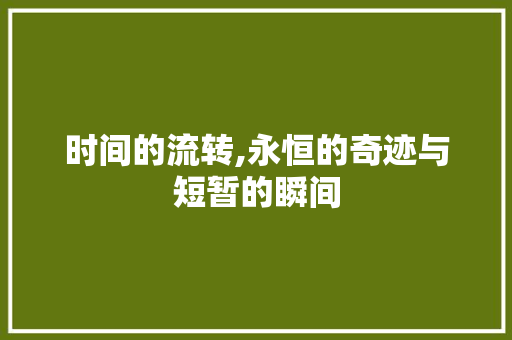 时间的流转,永恒的奇迹与短暂的瞬间