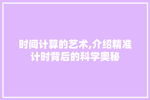 时间计算的艺术,介绍精准计时背后的科学奥秘 建站教程