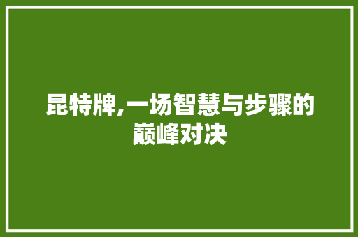 昆特牌,一场智慧与步骤的巅峰对决