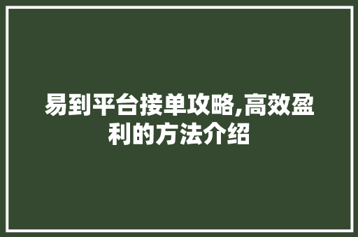 易到平台接单攻略,高效盈利的方法介绍
