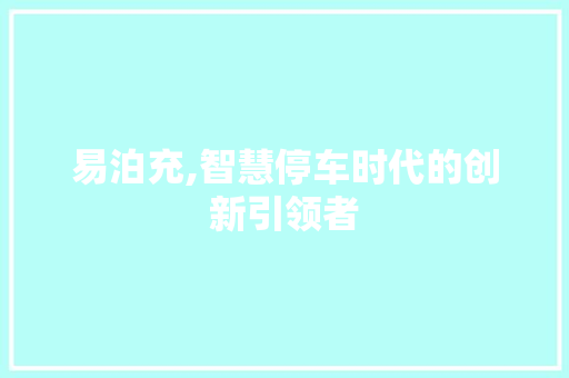 易泊充,智慧停车时代的创新引领者