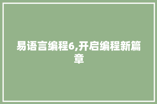易语言编程6,开启编程新篇章