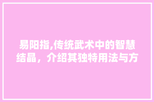 易阳指,传统武术中的智慧结晶，介绍其独特用法与方法 建站教程