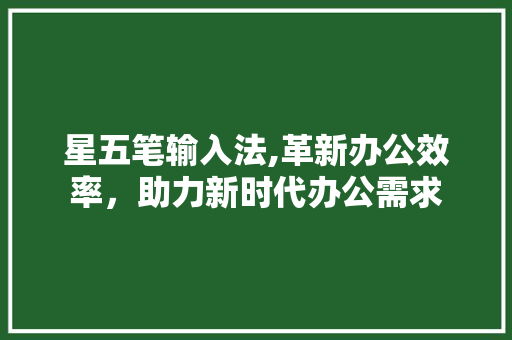 星五笔输入法,革新办公效率，助力新时代办公需求